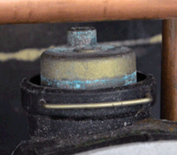 sm friendly format aav in situ (b).gif